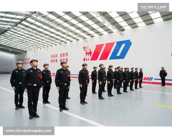 构建职业联赛历史数据档案体系，助力体育发展与传承